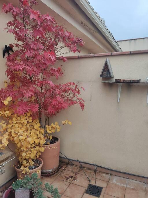 Apartamento Luminoso Con Jardin ラ・スビア エクステリア 写真